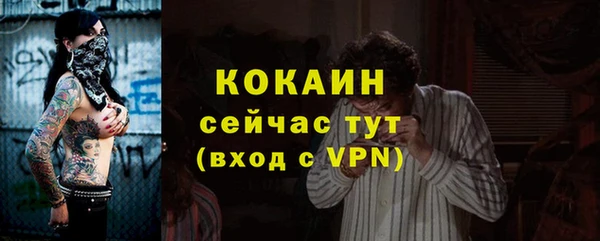 индика Балахна