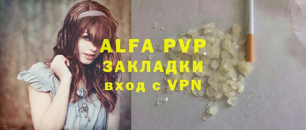 индика Балахна