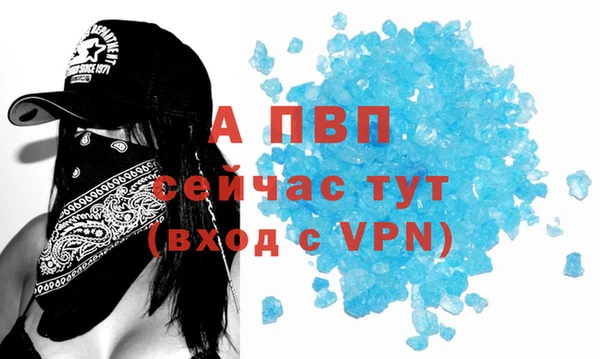 индика Балахна