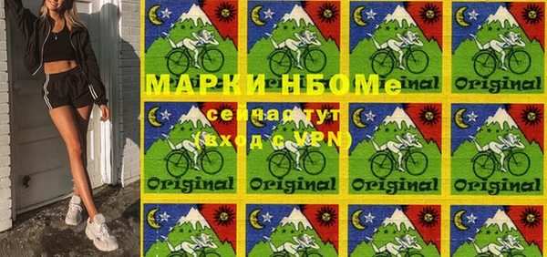 индика Балахна