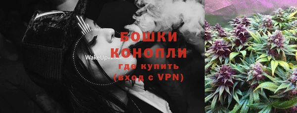 индика Балахна