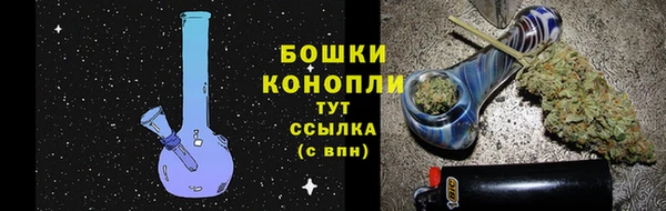 PSILOCYBIN Баксан