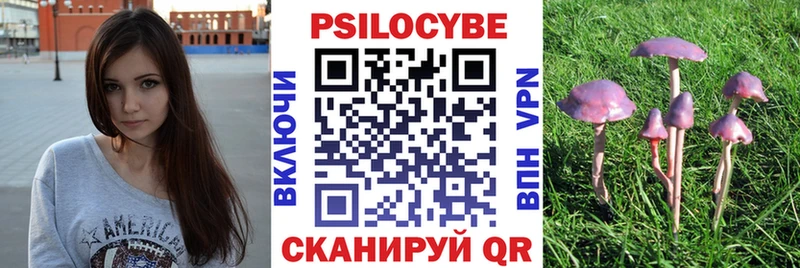 Галлюциногенные грибы прущие грибы Бирюсинск